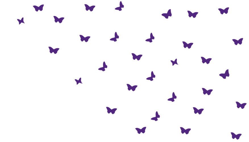 butterfly-cross-right-shape-updated